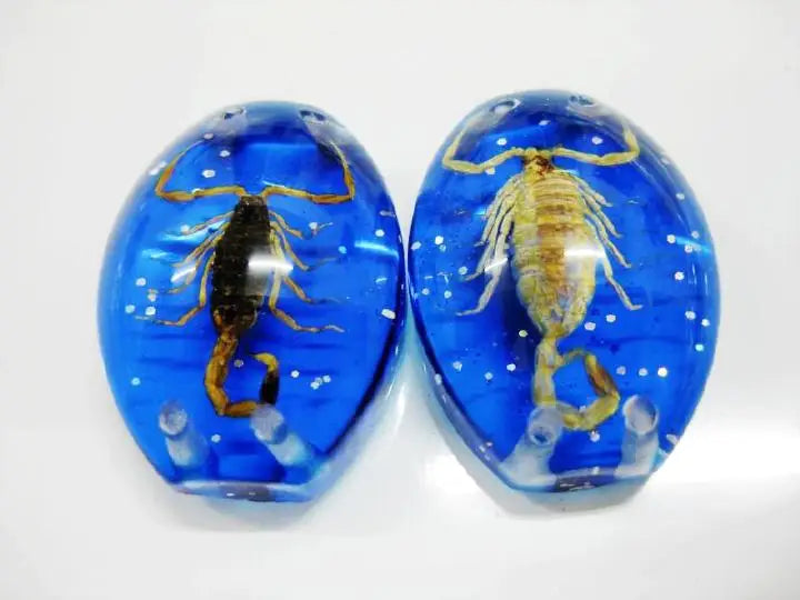 Real Scorpion in Resin Bead Jewelry Set