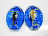 Real Scorpion in Resin Bead Jewelry Set