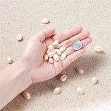 Natural Shell Beads Beach Oval Spiral Sea Cowrie Shells 120~150pcs/box