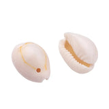 Natural Shell Beads Beach Oval Spiral Sea Cowrie Shells 120~150pcs/box