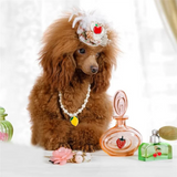 120 Pcs Fruit Charms for DIY Earrings Making