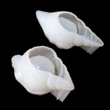 Elephant Shape Beauty Sponge Rack Mold Kit Silicone Resin Mold