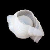 Elephant Shape Beauty Sponge Rack Mold Kit Silicone Resin Mold