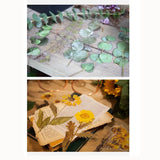 12PCS Large Dried Flowers Collage Bookmark Gift Decor Leaves Roses
