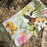 12PCS Large Dried Flowers Collage Bookmark Gift Decor Leaves Roses