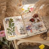 12PCS Large Dried Flowers Collage Bookmark Gift Decor Leaves Roses