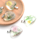 12Pcs Heart Shaped Daisy Hibiscus Petal Dried Flower Glass Charms Pendant