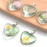 12Pcs Heart Shaped Daisy Hibiscus Petal Dried Flower Glass Charms Pendant