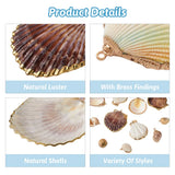 12Pcs Conch Shell Pendants for DIY Jewelry Making