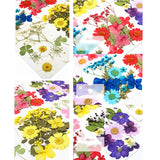 12Pcs Epoxy Filler Dry Flower Nail Stickers for DIY Crafts