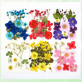 12Pcs Epoxy Filler Dry Flower Nail Stickers for DIY Crafts