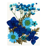 12Pcs Epoxy Filler Dry Flower Nail Stickers for DIY Crafts