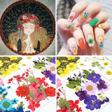 12Pcs Epoxy Filler Dry Flower Nail Stickers for DIY Crafts