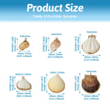 12Pcs Natural Conch Sea Shell Charms DIY Jewelry Making