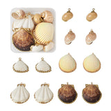 12Pcs Natural Conch Sea Shell Charms DIY Jewelry Making