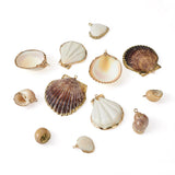 12Pcs Natural Conch Sea Shell Charms DIY Jewelry Making