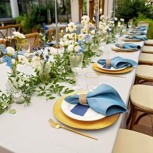 12Pcs Water Hyacinth Napkin Rings for Party Decoration
