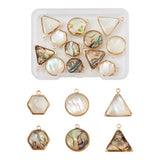 12Pcs Natural Shell Pendant Set for DIY Jewelry Making