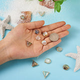12Pcs Natural Shell Pendant Set for DIY Jewelry Making