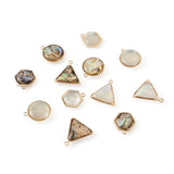 12Pcs Natural Shell Pendant Set for DIY Jewelry Making