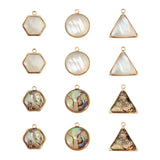 12Pcs Natural Shell Pendant Set for DIY Jewelry Making