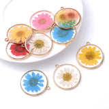 12Pcs Flat Plated Epoxy Hibiscus Daisy Dried Flower Resin Charms