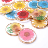 12Pcs Flat Plated Epoxy Hibiscus Daisy Dried Flower Resin Charms