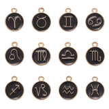 12Pcs Double-sided Alloy Enamel Constellations Charms for DIY Earrings Necklace