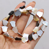 12mm Natural Shell Beads Mother Of Pearl Loose Mix Shapes Freshwater Shell Beads