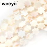 12mm Natural Shell Six Petal Flower Beads Pendant Loose Spacer Beads