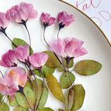 12pcs Natural Begonia Dried Pressed Flower Leaves for Epoxy Resin Pendant