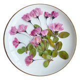 12pcs Natural Begonia Dried Pressed Flower Leaves for Epoxy Resin Pendant
