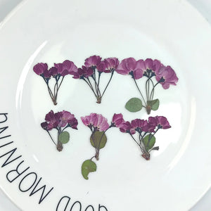 12pcs Natural Begonia Dried Pressed Flower Leaves for Epoxy Resin Pendant
