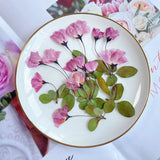 12pcs Natural Begonia Dried Pressed Flower Leaves for Epoxy Resin Pendant