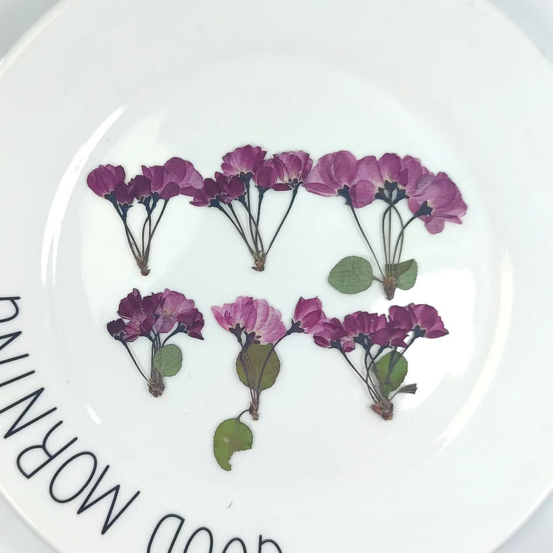 12pcs Natural Begonia Dried Pressed Flower Leaves for Epoxy Resin Pendant