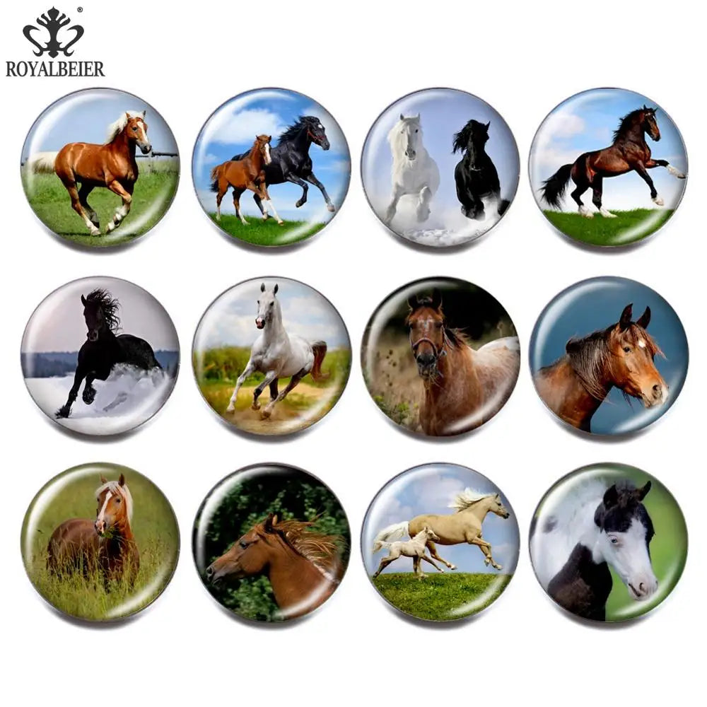 12pcs Vintage Animal Pets Glass Snap Buttons for Bracelets