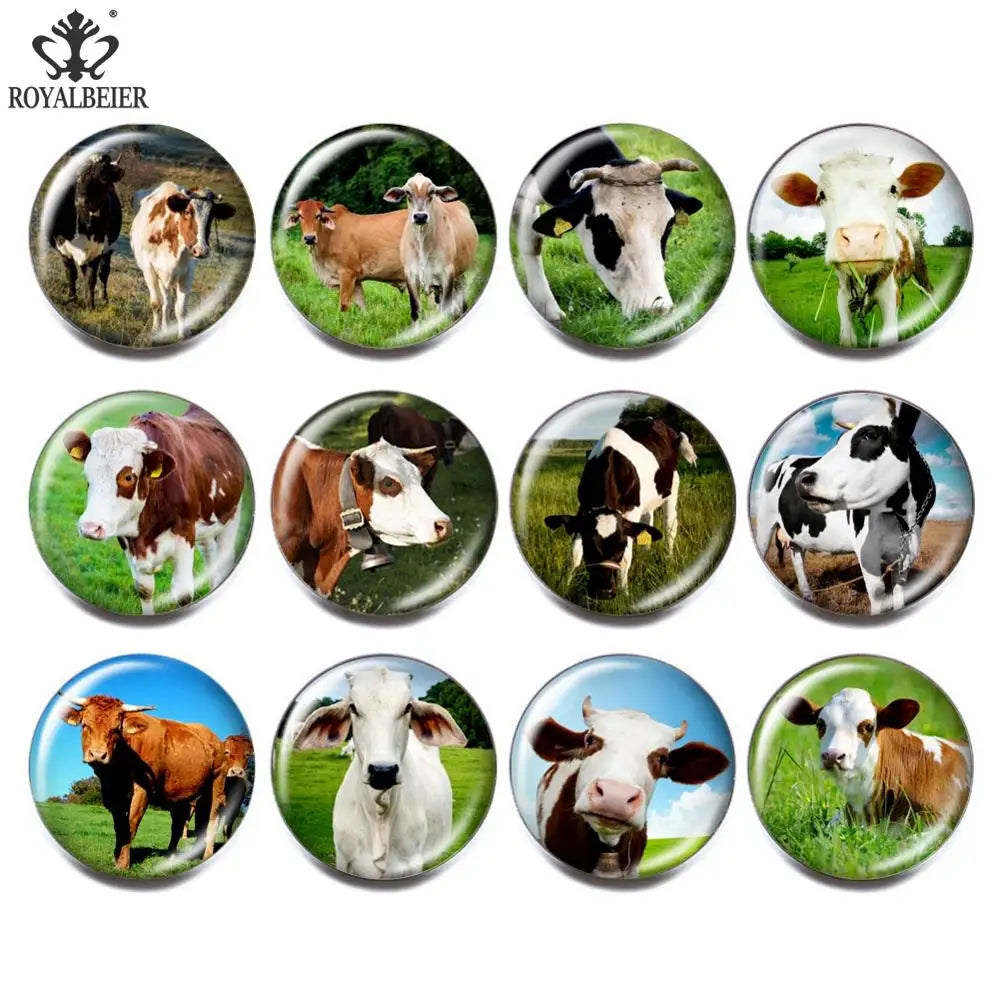 12pcs Vintage Animal Pets Glass Snap Buttons for Bracelets