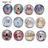 12pcs Dog Cibotium Barometz Glass Snap Button Fit Bracelet Snaps KZ0370