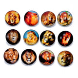 12pcs Lion Pattern Charms 18mm Glass Snap Button DIY Charms Bracelet KZ0192