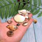 12pcs Shell Necklace Pendant Conch Sea Shell Charms Full Rhinestone