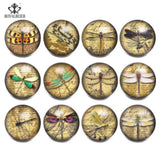 12pcs Glass Mixed Snap Butterflies Dragonfly Patterns 18mm Snaps Bracelet