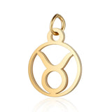 Stainless Steel 12 Zodiac Charm DIY Constellation Charms for Jewelry Making
