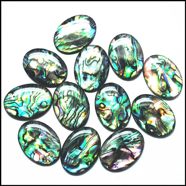 12pcs Abalone Paper Cabochons 18x25mm Natural Shell Beads Mother of Pearl