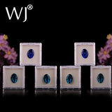 Clear Plastic Jewelry Beads Storage Organizer Gem Jars Foam Insert