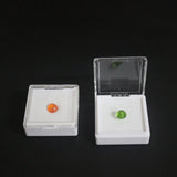 Clear Plastic Jewelry Beads Storage Organizer Gem Jars Foam Insert