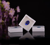 Clear Plastic Jewelry Beads Storage Organizer Gem Jars Foam Insert