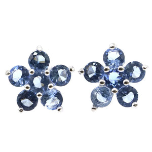 Violet Tanzanite Turquoise 925 Silver Earrings