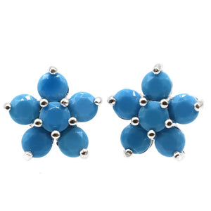 Violet Tanzanite Turquoise 925 Silver Earrings