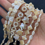 13-18mm Horseshoe Shells Geometric Beads Natural Seashells