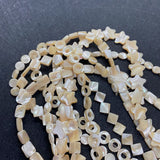 13-18mm Horseshoe Shells Geometric Beads Natural Seashells